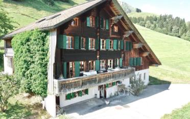Chalet 11.5 pièces - image - 1
