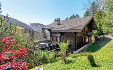 Chalet 6.5 pièces - image - 2