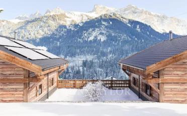 Chalet 6.5 pièces - image - 1