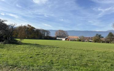 Einfamilienhaus - image - 4