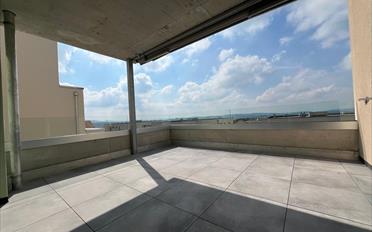 Wohnung 4.5 Zimmer - image - 11