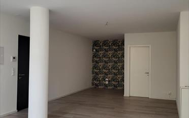 Büro 2 Zimmer - image - 3