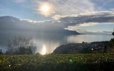 Appartement 2 pièces - image - 3