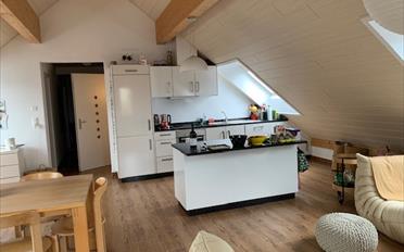 Wohnung 4.5 Zimmer - image - 4