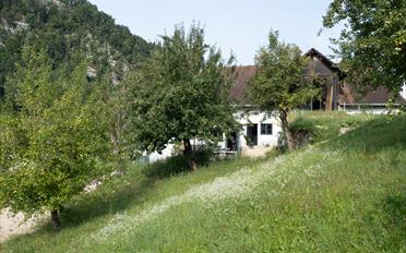 Single house - image - 29
