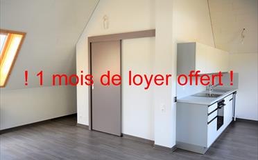 Studio 1 pièce - image - 1