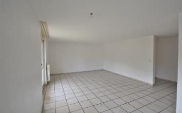 Appartement 4.5 pièces - image - 4