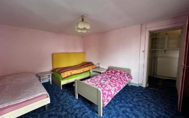 Single house 7 rooms - image - 12