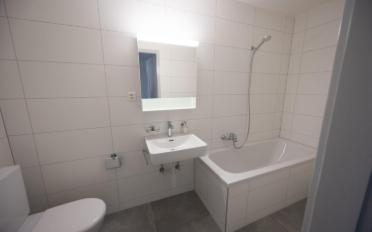 Wohnung 3.5 Zimmer - image - 2