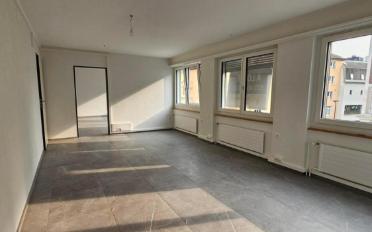 Gemischt genutzte Immobilie 3 Zimmer - image - 9