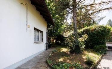 Single house 7 rooms - image - 5