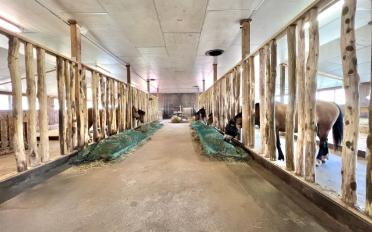 Ferme 6.5 pièces - image - 4