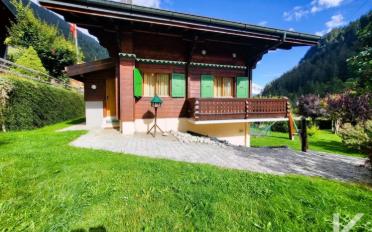 Chalet 6.5 rooms - image - 2