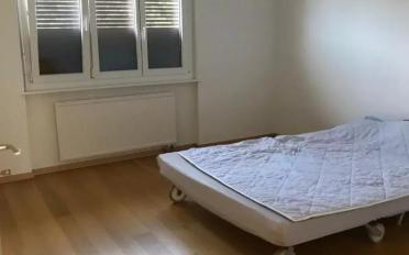 Wohnung 4.5 Zimmer - image - 9