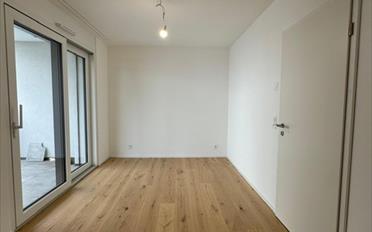 Wohnung 2.5 Zimmer - image - 5