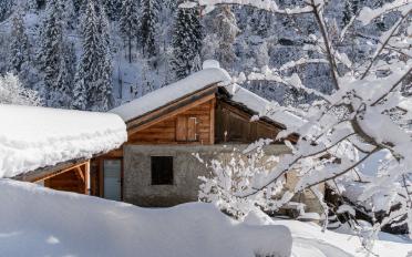Villa 3 Zimmer - image - 4