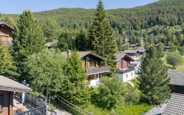 Chalet 4.5 pièces - image - 2