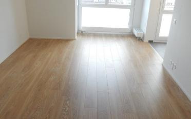Apartment 1 room - image - 4