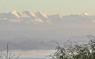 Villa - image - 5