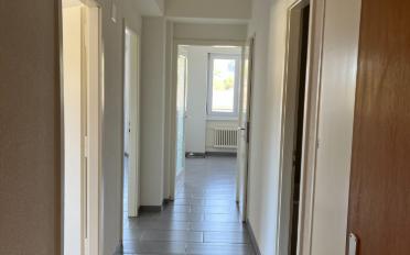 Apartment 2.5 rooms - image - 6