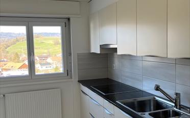 Wohnung 4.5 Zimmer - image - 1