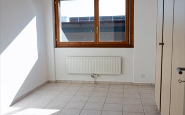 Apartment 4.5 rooms - image - 9