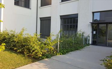 Duplex 7 Zimmer - image - 20