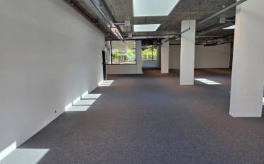 Büro 1.5 Zimmer - image - 6