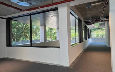 Büro 4 Zimmer - image - 9