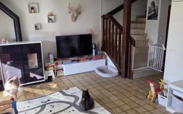 Reihenfamilienhaus 4.5 Zimmer - image - 1