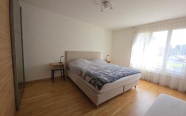 Wohnung 5.5 Zimmer - image - 7