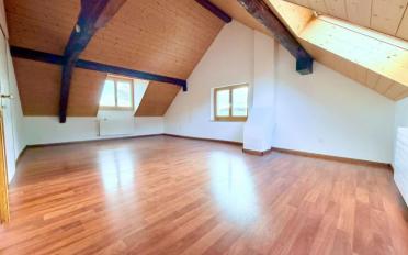 Farm house 12.5 rooms - image - 8