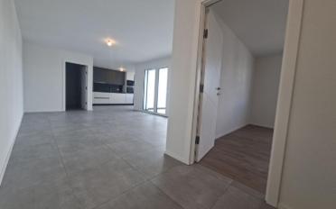 Apartment 2.5 rooms - image - 3