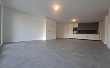 Wohnung 2.5 Zimmer - image - 1