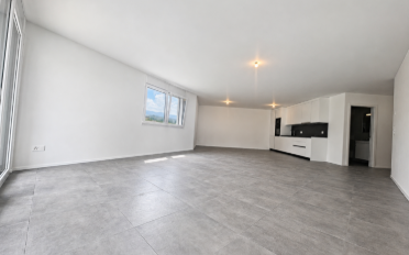 Wohnung 2.5 Zimmer - image - 1