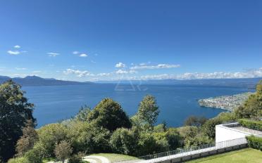 Wohnung 4.5 Zimmer - image - 9