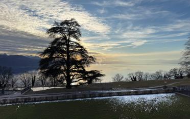 Wohnung 3.5 Zimmer - image - 9