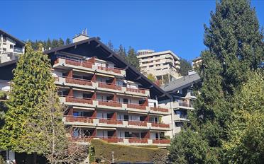 Wohnung 2 Zimmer - image - 1
