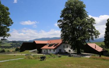 Villa 9 Zimmer - image - 6