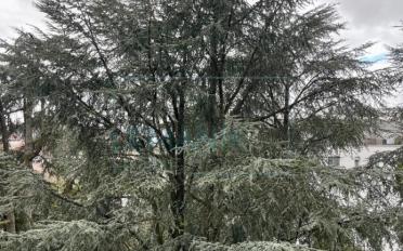 Appartement 5 pièces - image - 1