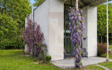 Single house 3 rooms - image - 10