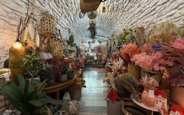 Commercial - image - 5