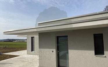 Einfamilienhaus 4.5 Zimmer - image - 1