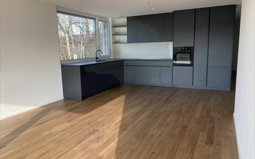 Einfamilienhaus 4.5 Zimmer - image - 4