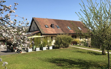 Einfamilienhaus - image - 1