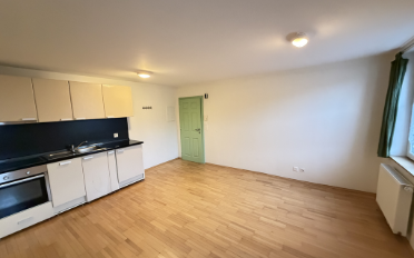 Wohnung 1.5 Zimmer - image - 2