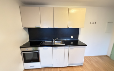 Wohnung 1.5 Zimmer - image - 3