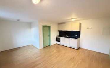Wohnung 1.5 Zimmer - image - 1