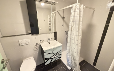 Wohnung 1.5 Zimmer - image - 5