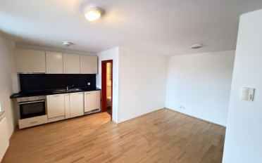 Apartment 1.5 rooms - image - 1
